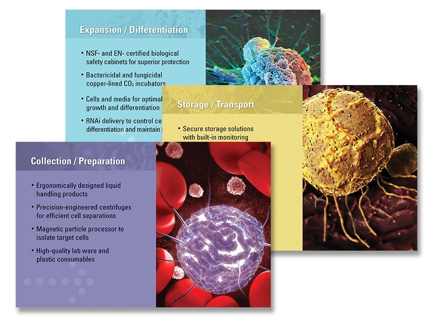 Tradeshow “lightbox” posters