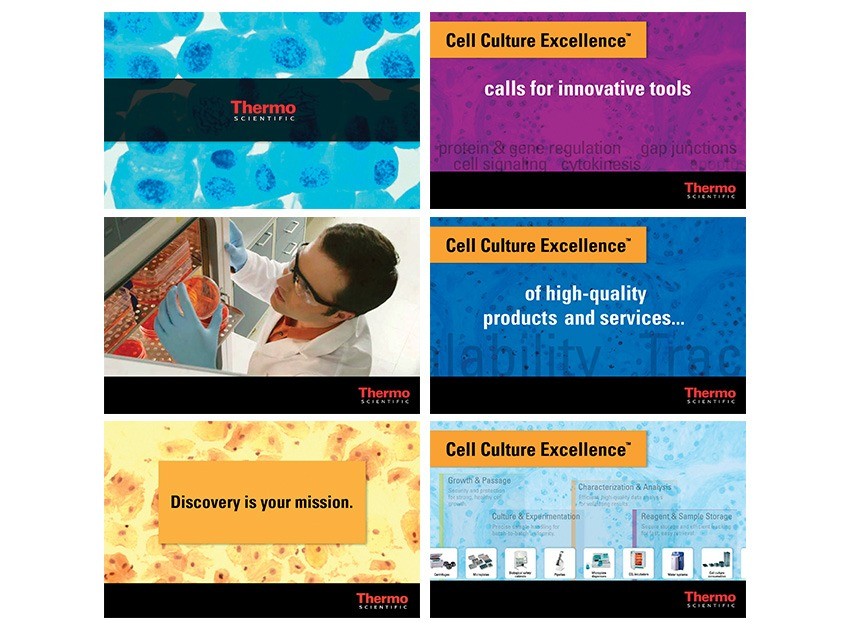 Still frames from interactive presentation