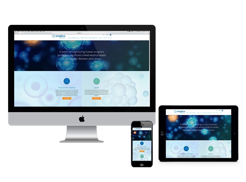 Responsive Website