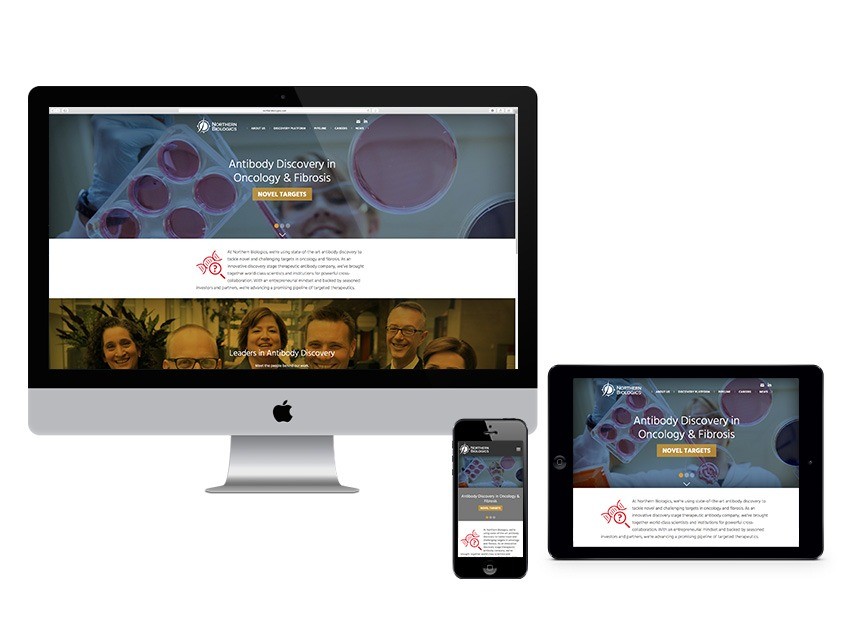 Responsive Website