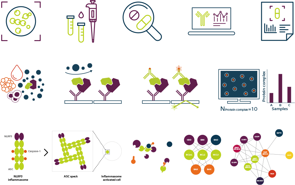 Protenia-icons