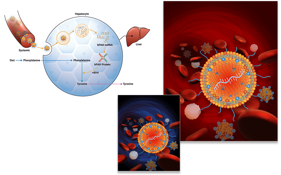 arcturus-therapeutics-scientific-illustrations