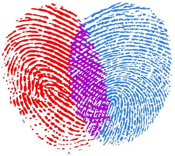 fingerprint