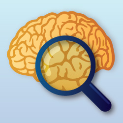 semantic search brain