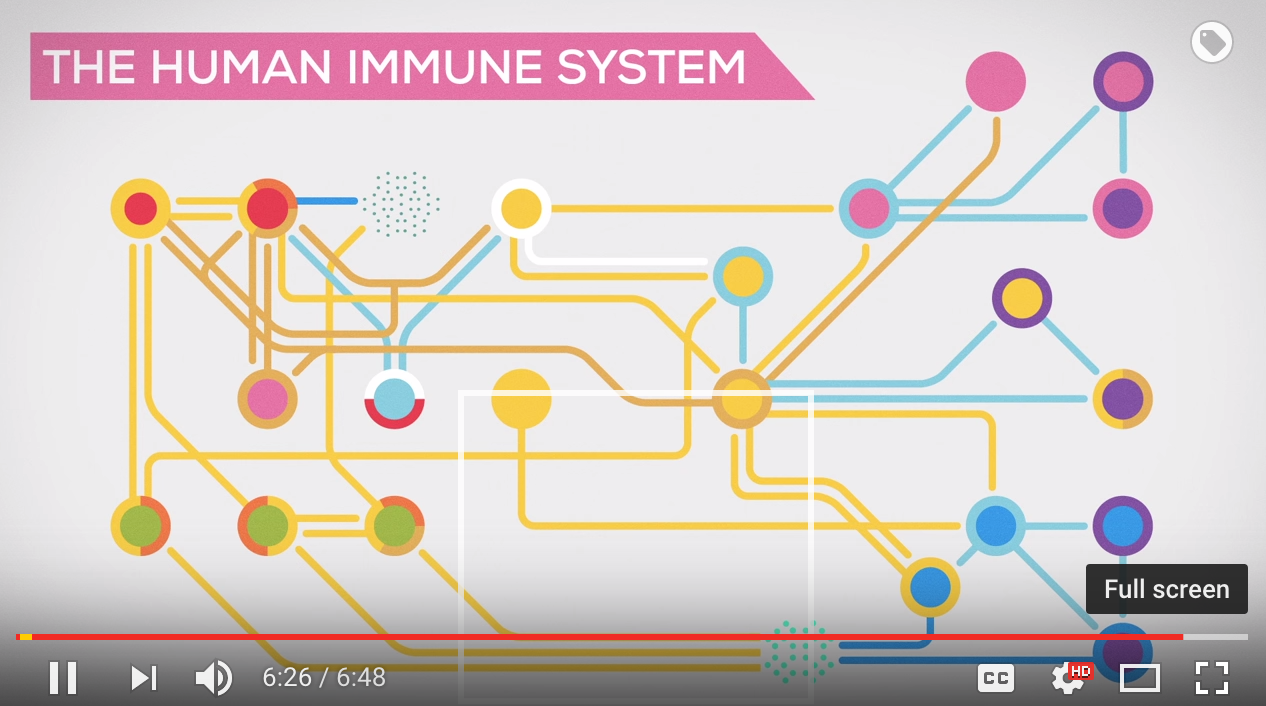 video_immunesystem.png