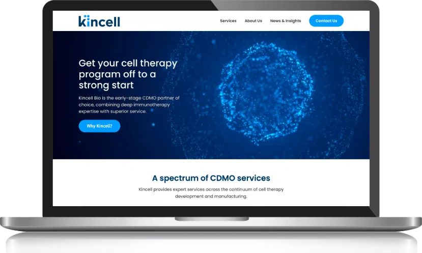 Kincell Bio's phased approach to improving its website homepage screenshot.